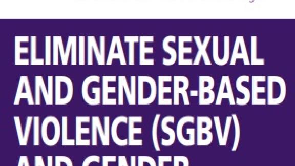 AB 3 Elimination SGBV